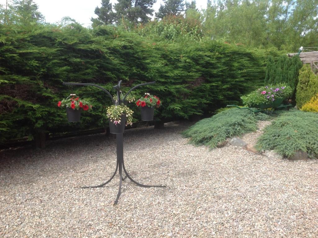 Dunroamin Bed&Breakfast Aviemore Zimmer foto